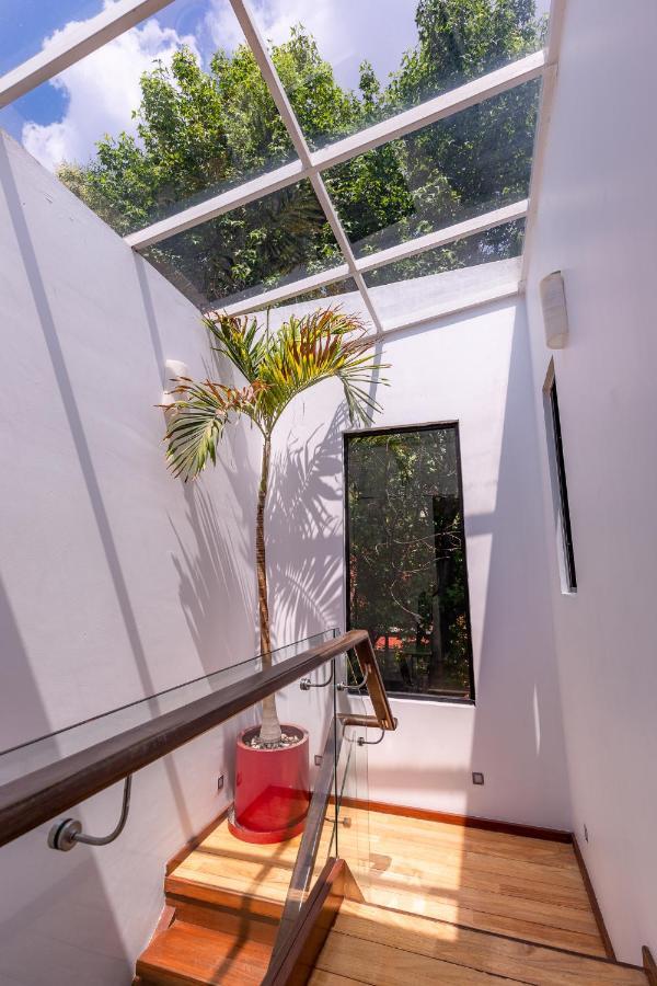 Casa Blanca In Coyoacan * Città del Messico